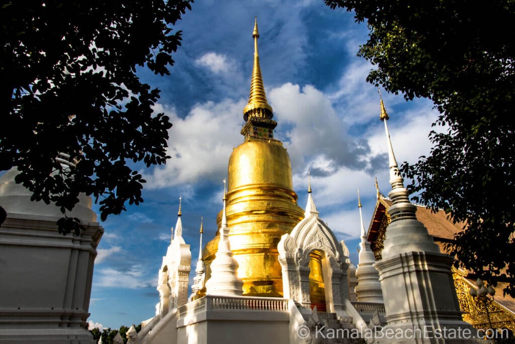 Wat Suan Dok Temple in Chiang Mai featuring a golden chedi surrounded by white stupas under a clear blue sky.