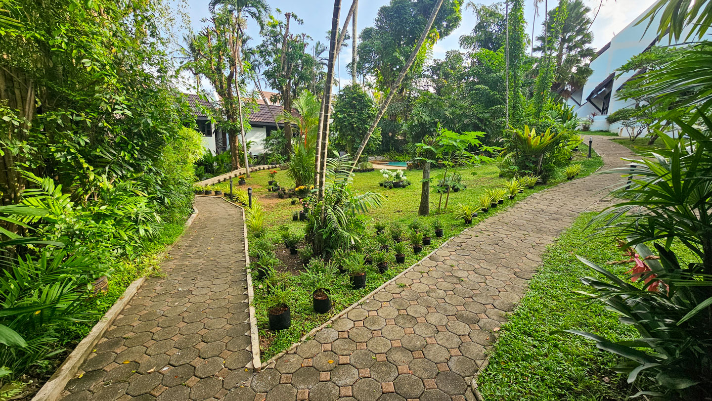 How to Make a Tropical Flower Garden 2 How to Make a Tropical Flower Garden-2
