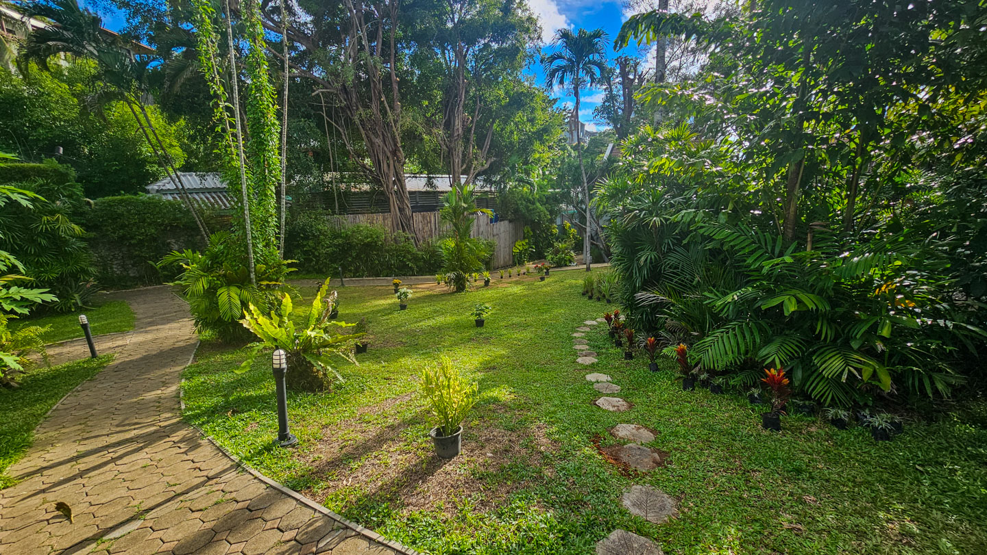 How to Make a Tropical Flower Garden 9 How to Make a Tropical Flower Garden-9