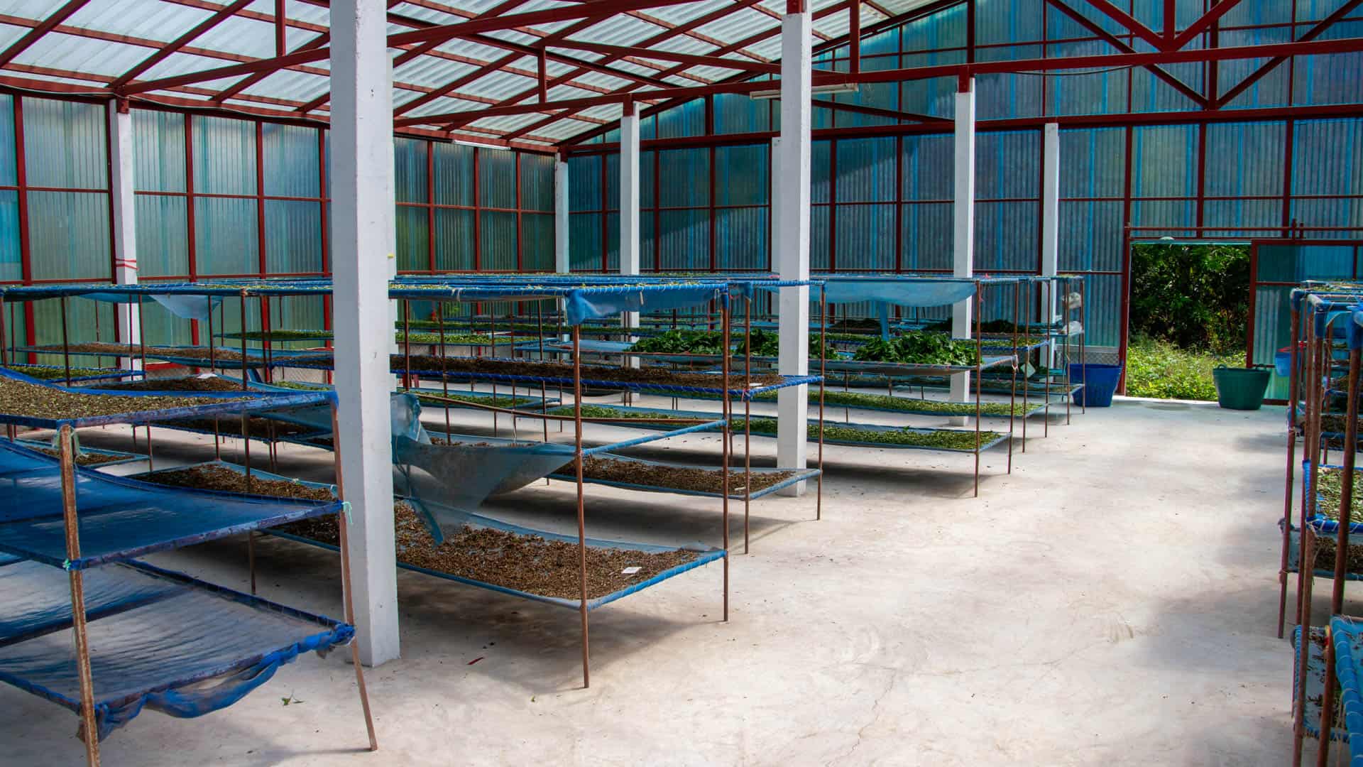 Herb drying building at Ban Dong Bang village