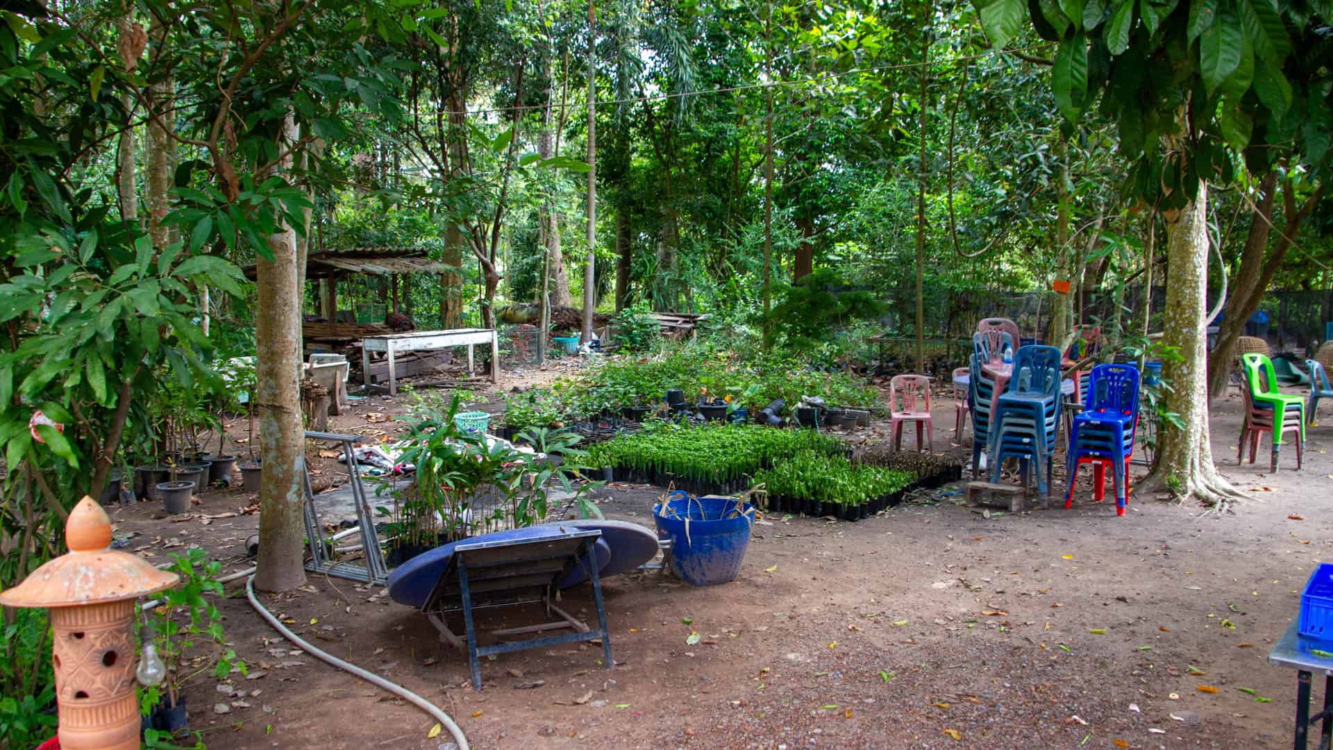 Working herb production area at Ban Dong Bang medicinal plant village