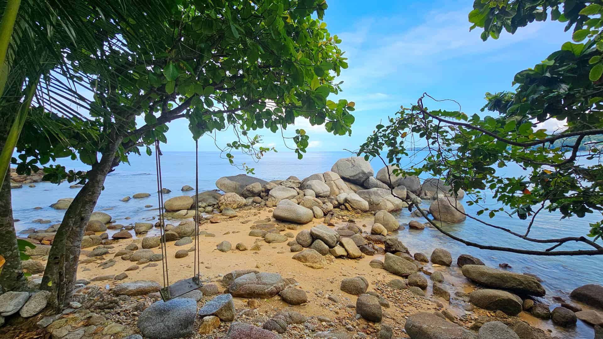 A view from the estate's coastal walk, with a rope swing, trees, rocks and the sea