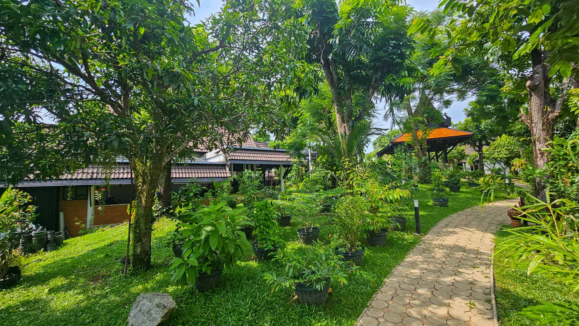 A path through mature tropical planting and trees at Kamala Beach Estate