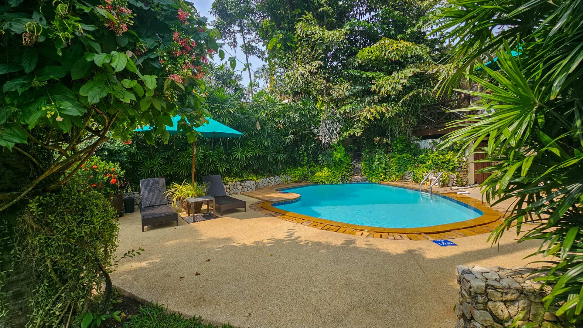 The smaller swimming pool with loungers, surrounded by dense tropical greenery